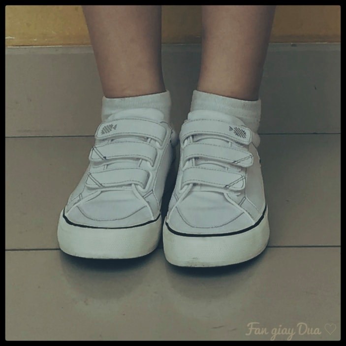 Trên chân đôi Dứa xinh xẻo - ảnh của bạn Nguyen Minh Tuyen